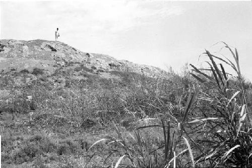 Northwest end of huaca at Site 124