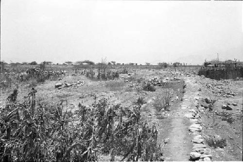 Structures in south corner of interior enclosure at Site 143