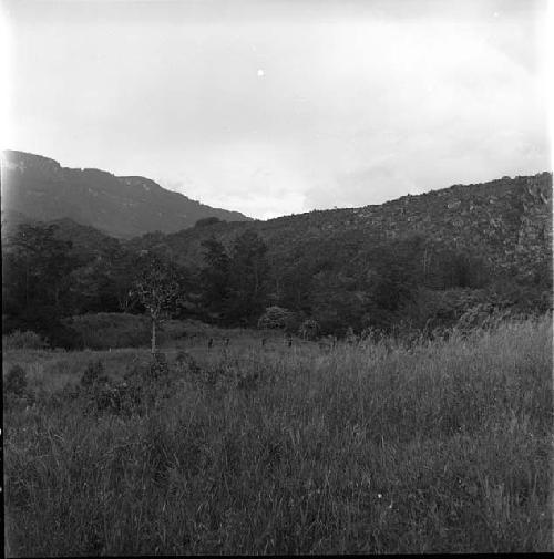 Stalking warriors in grasslands