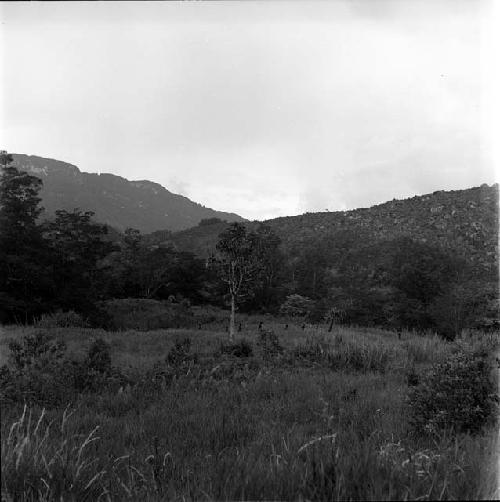 Stalking warriors in grasslands