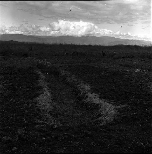 Ditch in Werené's garden