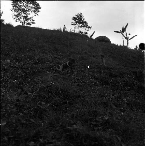 Boys rolling down a hill