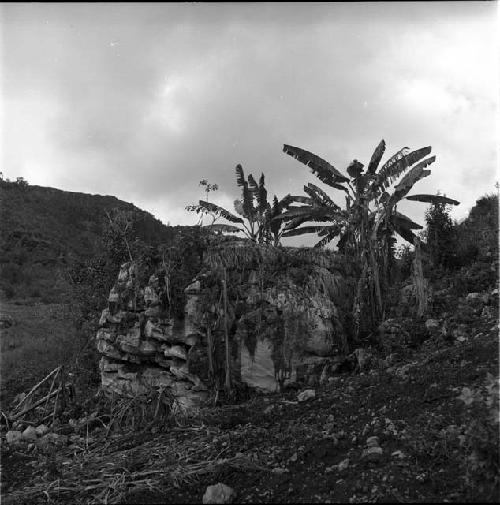 Limestone cliff