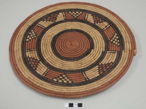 Coiled basketry plate; brown center, black and brown radiating design, brown rim