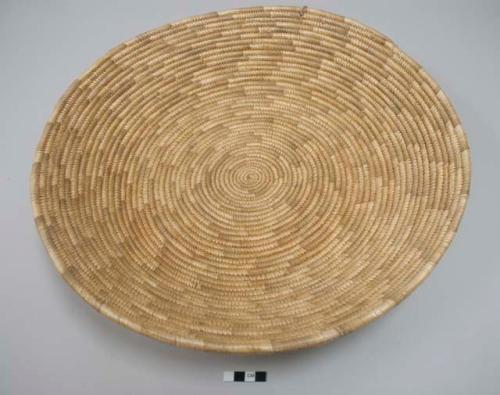 Shallow basketry dish