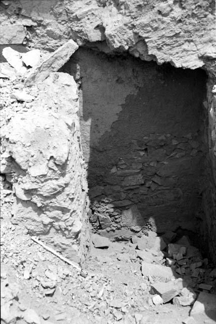 Plaster with grass on masonry wall face of Area 1, Structure E at Site 128