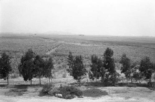 General view of Site 124 and 125