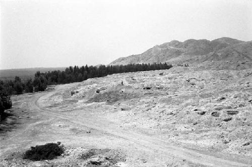 Platforms and north cemetery at Site 146