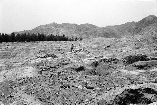 Adobe wall (Feature 18) crossing Site 146