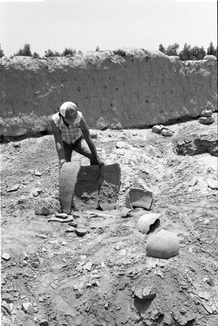 Giant ceramic sherds, vessel neck and perforated sherd at Site 146, with Feature 18 in background