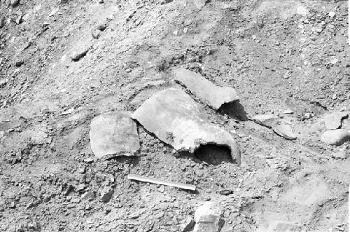 Tall incurvate neck globular vessel fragment in south cemetery at Site 146