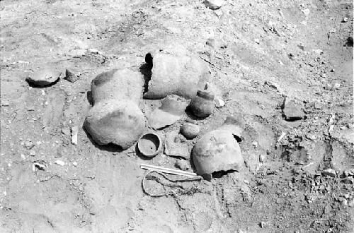 Large vessel fragments, gourd bowl, small ollas, mat fragments and braided rope in south cemetery at Site 146