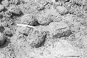 Hand-made loaf-shaped and subrectangular adobes from Feature 18 wall at Site 146