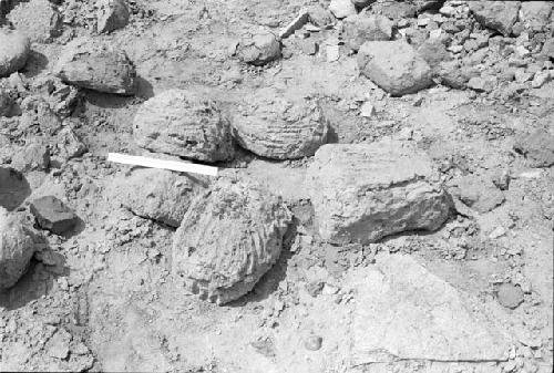 Hand-made loaf-shaped and subrectangular adobes from Feature 18 wall at Site 146