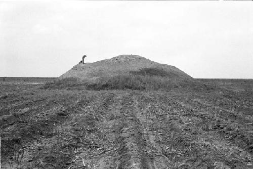 General view of Site 150