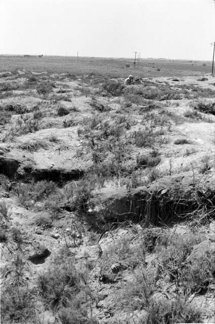 Looting and salitre damage at Site 163