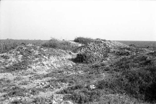 General view of Site 176