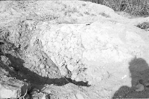 Detail of adobe wall in huaqueo at Site 176