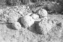 Large and small loaf-shaped adobes at Site 176