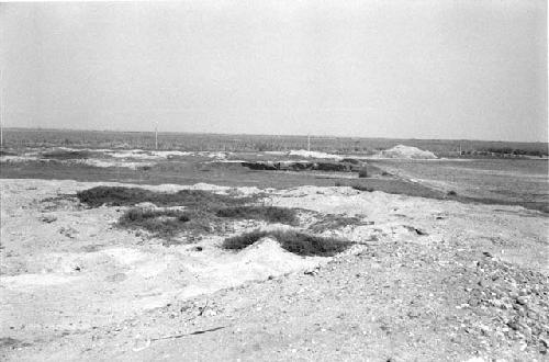 Terraces A and B at Site 181, with sites 180, 178 and 179 in background