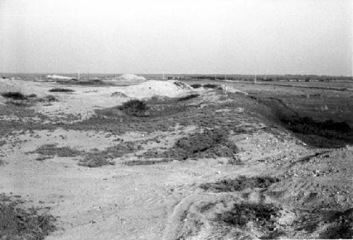 Huachaques southeast of "Huaca Amarilla" on Terrace B at Site 181