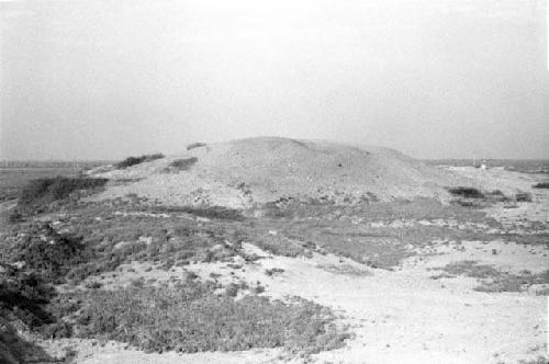 "Huaca Amarilla" on Terrace B at Site 181