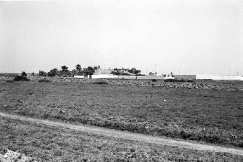 Huachaques at Site 182, with Sites 181 and 177 in background