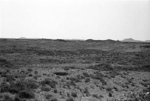 Bulldozer damage in northeast part of Site 182, with Huacas Prieta and Blanca in background