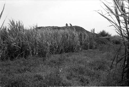 General view of Site 186