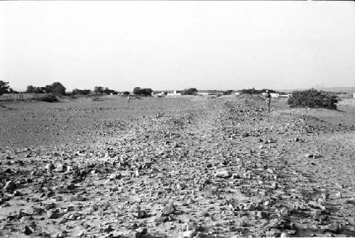 East edge of "oldest" compound at Site 118