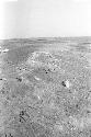 Apparent stone wall foundation in north central part of Site 192