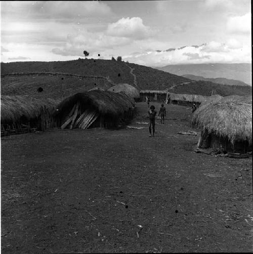 Hill sili -- damaged negative