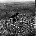 Man working in garden