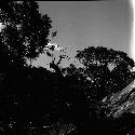 Wooden forms, trees and rocks