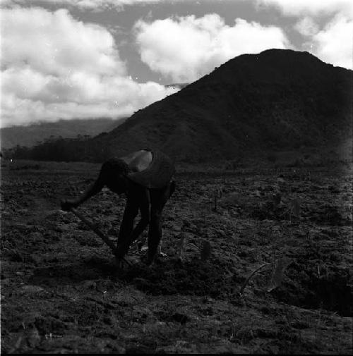 Woman working in field