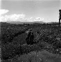 Man working in ditch