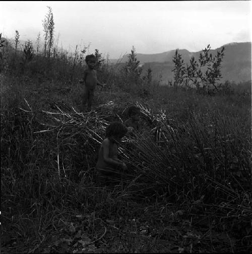 children playing