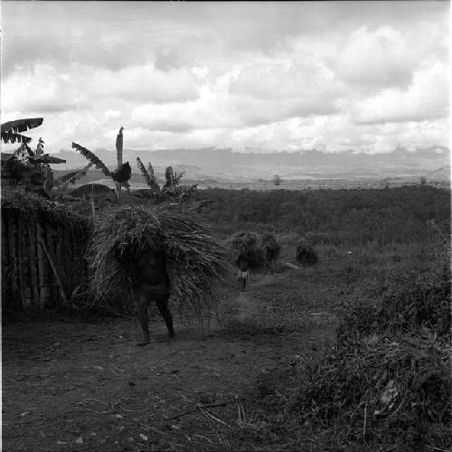 women carrying thatch