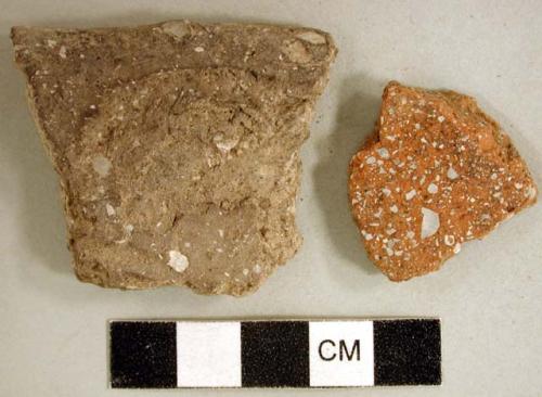 Coarse earthenware body sherd, undecorated, shell temper; coarse earthenware rim sherd, incised and molded, shell temper