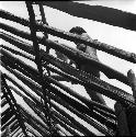 Man working on roof