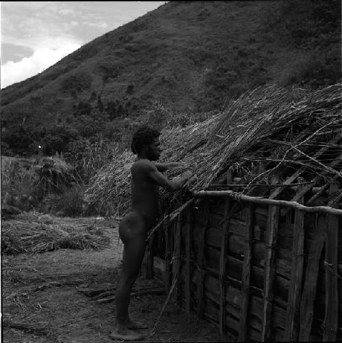 Siba thatching new wamai