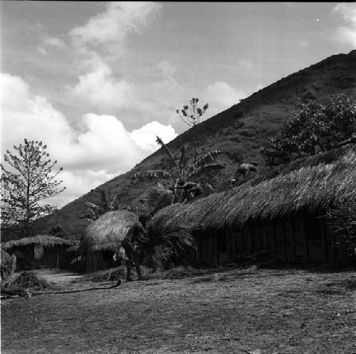 Wali helping thatch roof