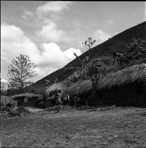 Wali helping thatch roof