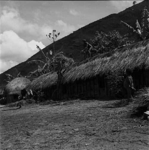 Wali helping thatch roof