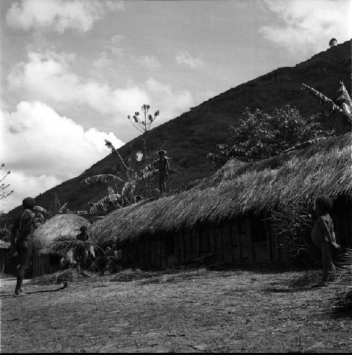 Wali helping thatch roof