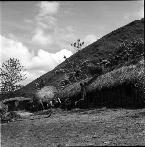 Thatching for roof