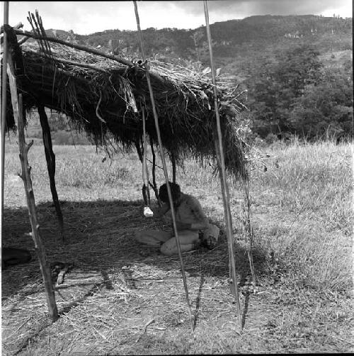 a man under an olea