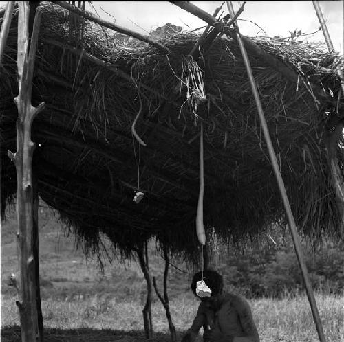 man under an olea