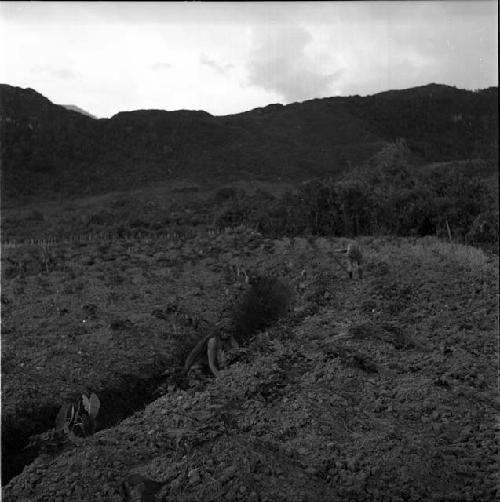 Woman working in one of the ditches in Werene's garden