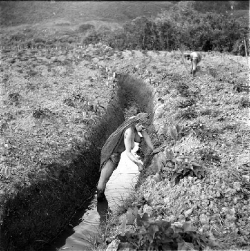 woman working in one of the ditches in Werene's garden